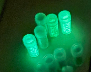 Plaisir Glastips Leuchtend - verschiedene Größen