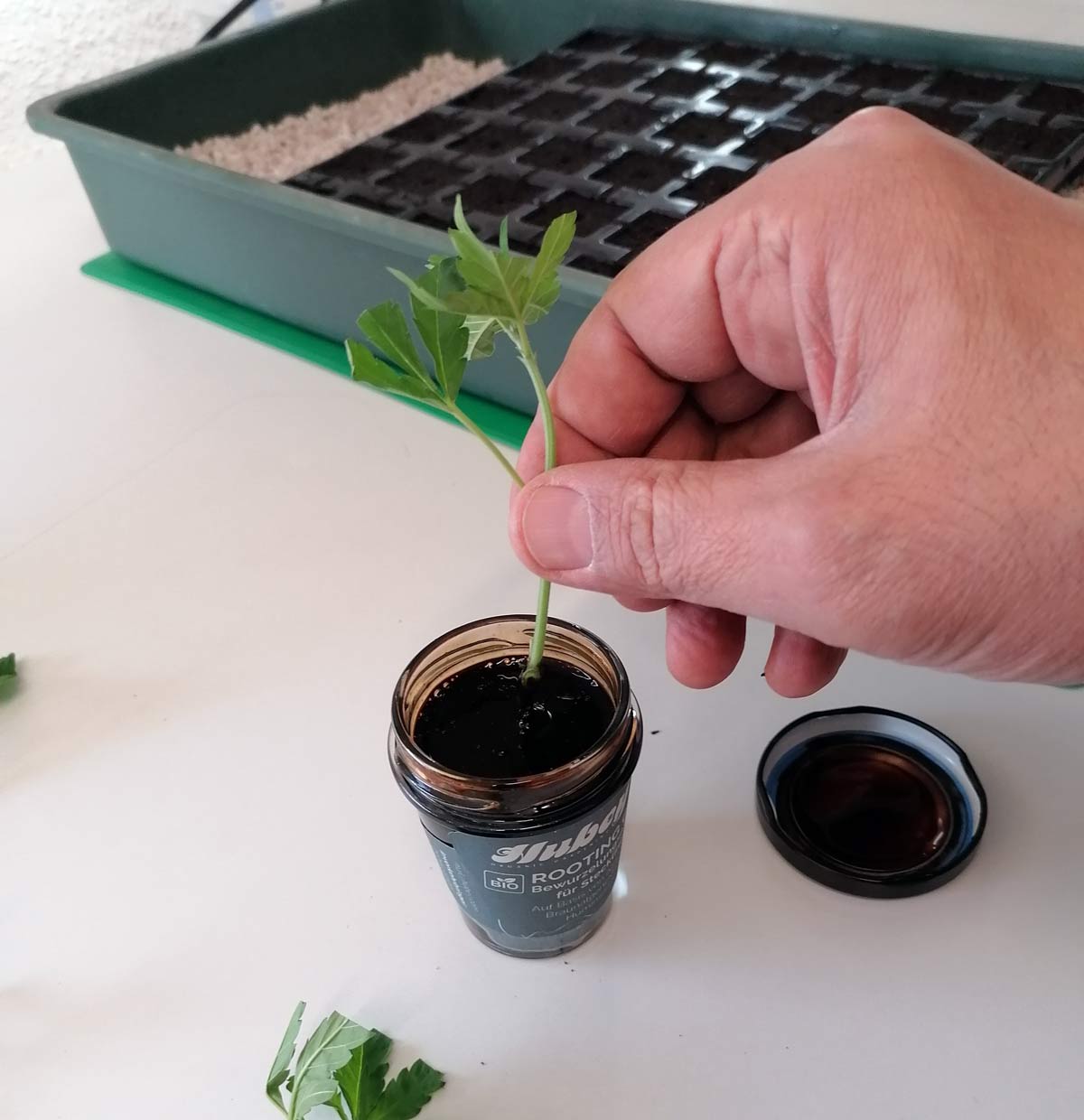 Hubey Bio Rooting Gel – Bild 3