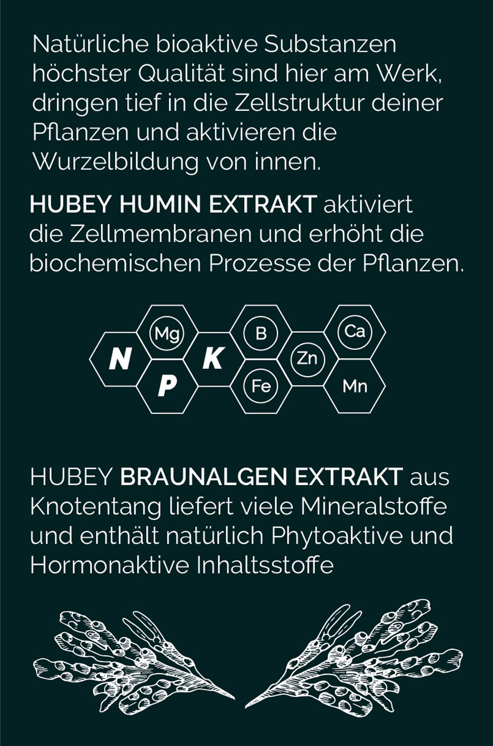 Hubey Bio Rooting Gel – Bild 7