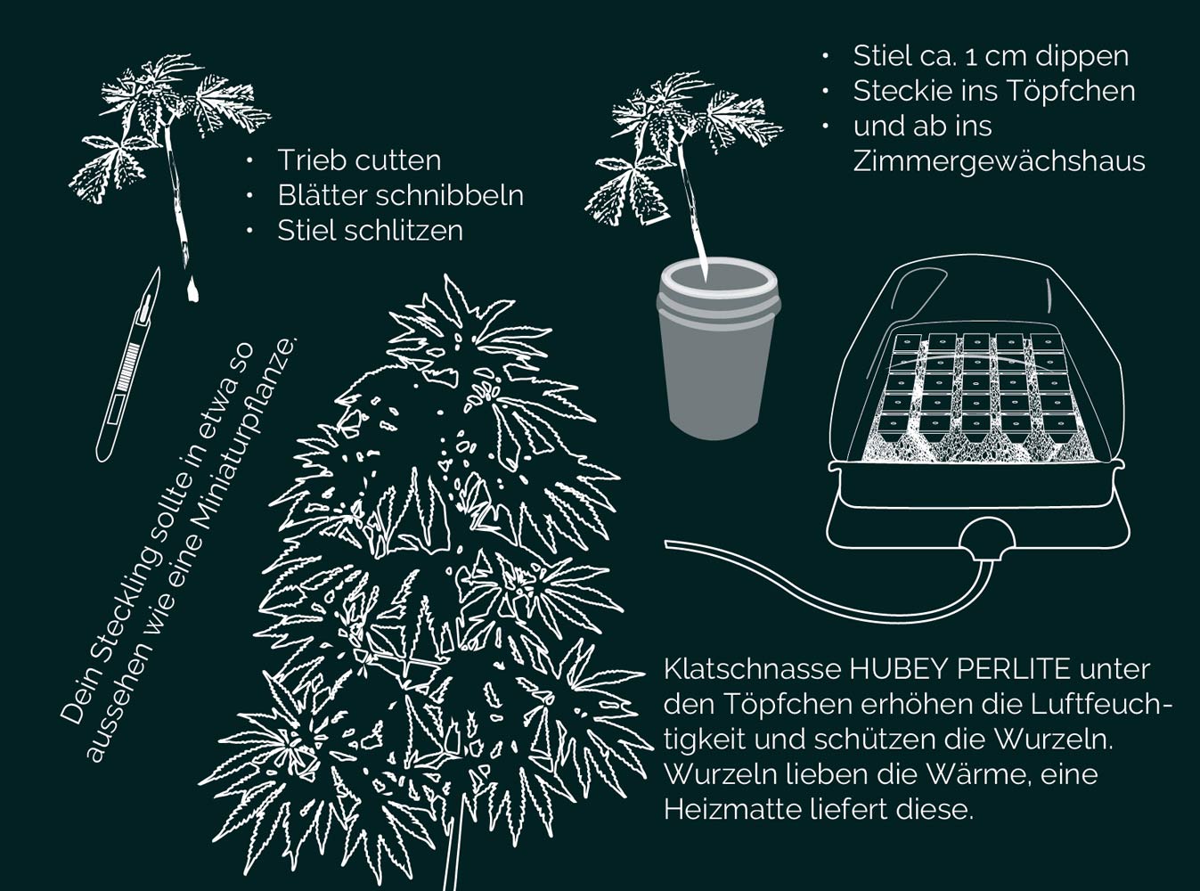 Hubey Bio Rooting Gel – Bild 9