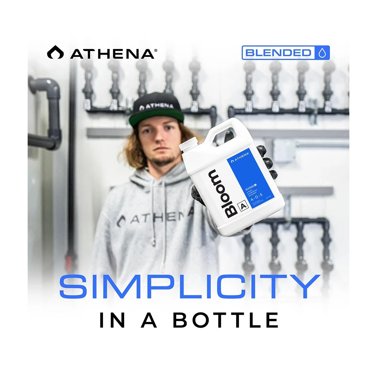 Athena Starter Set – Bild 4