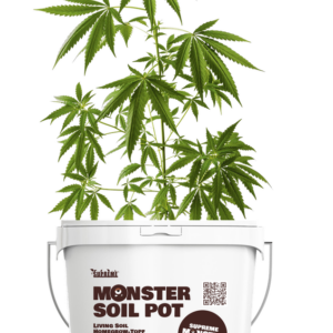Monster Soil Pot 11L Living Soil growing mit Pflanze Cannabis