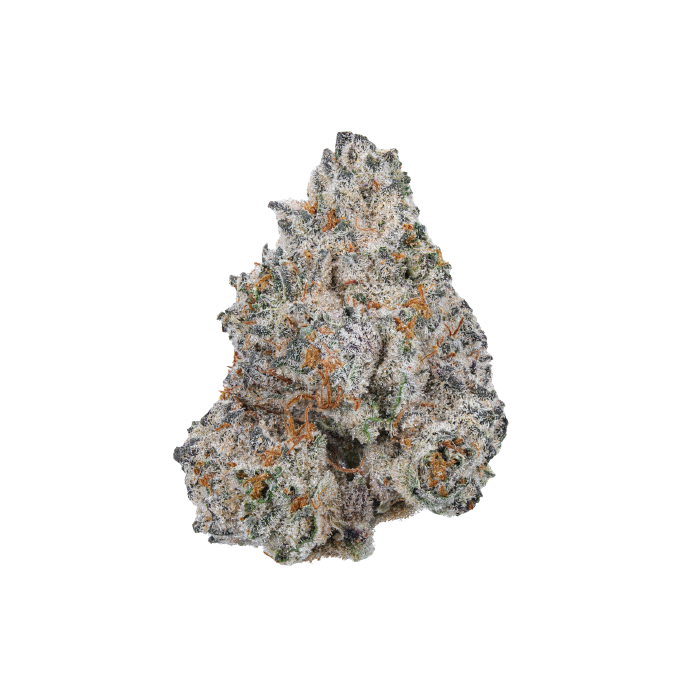 Schwaben Seeds - White Truffle - Feminisiert - 3 Samen + 1 Gratis
