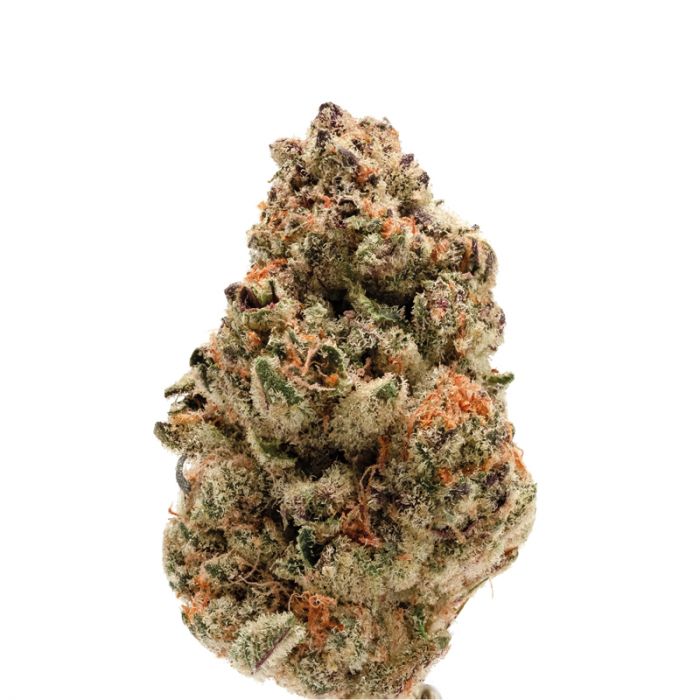 Schwaben Seeds -  Rainbow Candy - Auto - 3 Samen + 1 Gratis