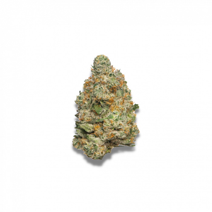 Schwaben Seeds - Apple Fritter - Auto - 1 Samen + 1 Gratis