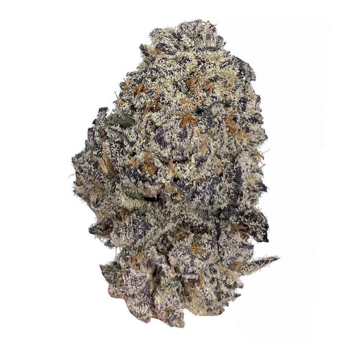 Schwaben Seeds - Original Oreoz - Feminisiert - 3 Samen + 1 Gratis