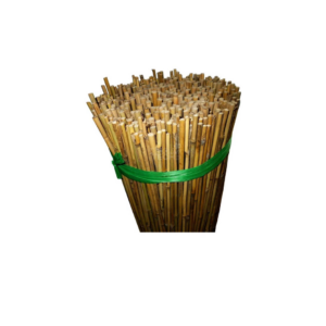 IMG_6488.PNG