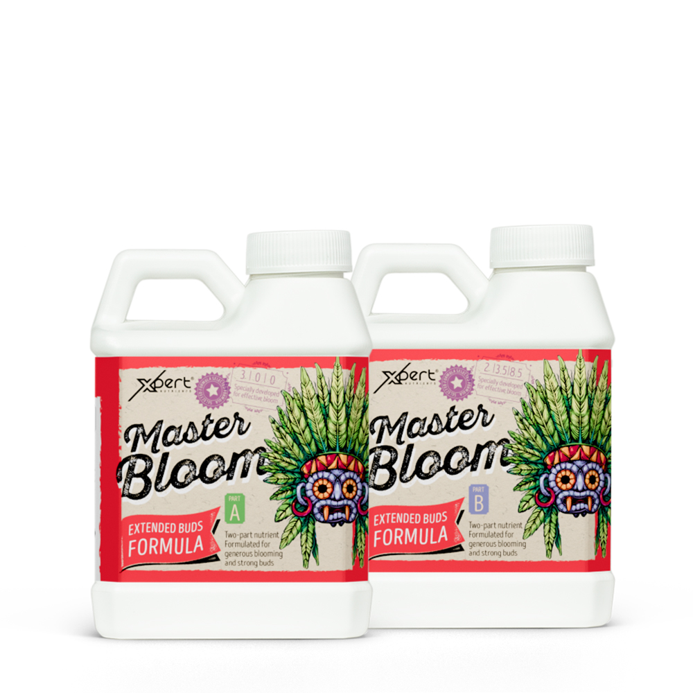 Master-Bloom-AB-250.jpg